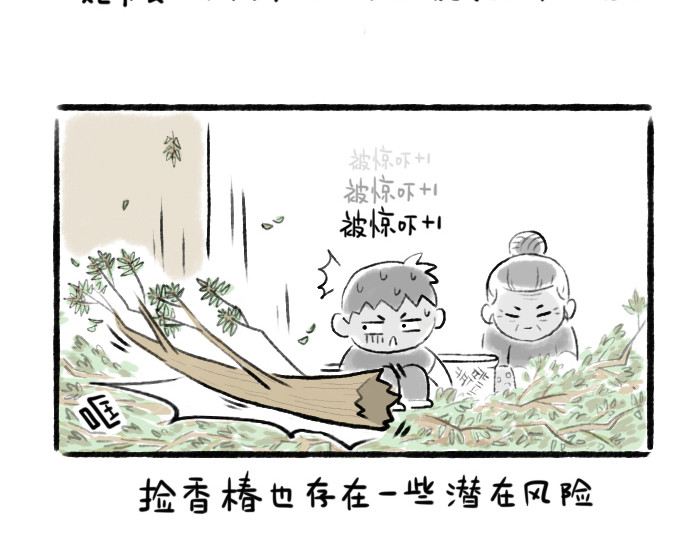 绵绵细雨织回忆 第二章 香椿鱼 第3页