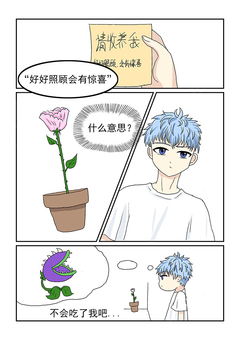 玫瑰公主 第5页