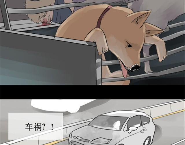 一条狗 一条狗#3 互换之旅 第7页