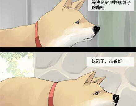 一条狗 一条狗#5 谁让你脱裤子的 第4页