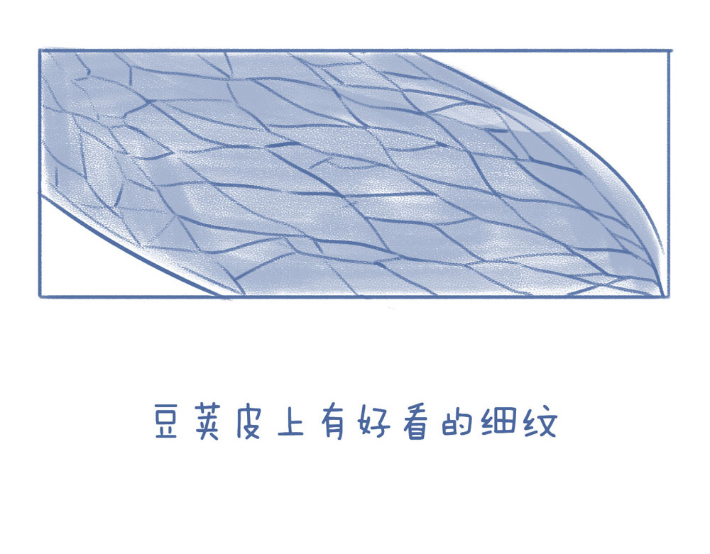 未来总会有惊喜 06豌 豆 第13页