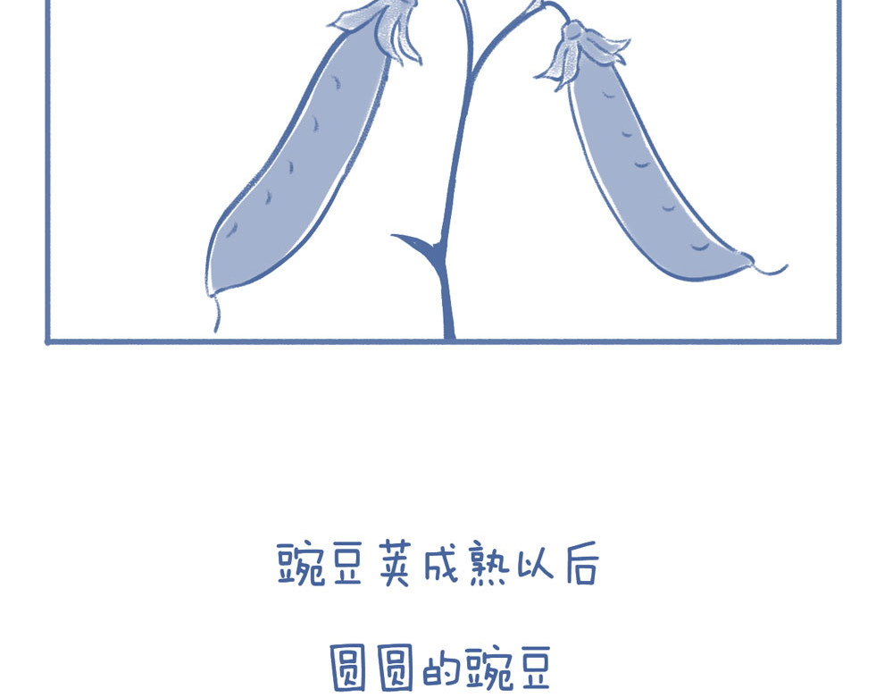 未来总会有惊喜 06豌 豆 第6页