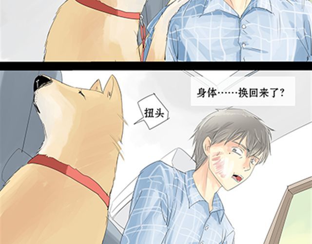 一条狗 一条狗#6 身体换回来了 第4页