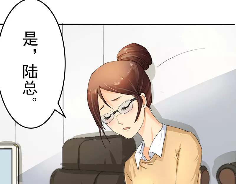 如果从没爱过你 第2话 陆总，求你别... 第28页