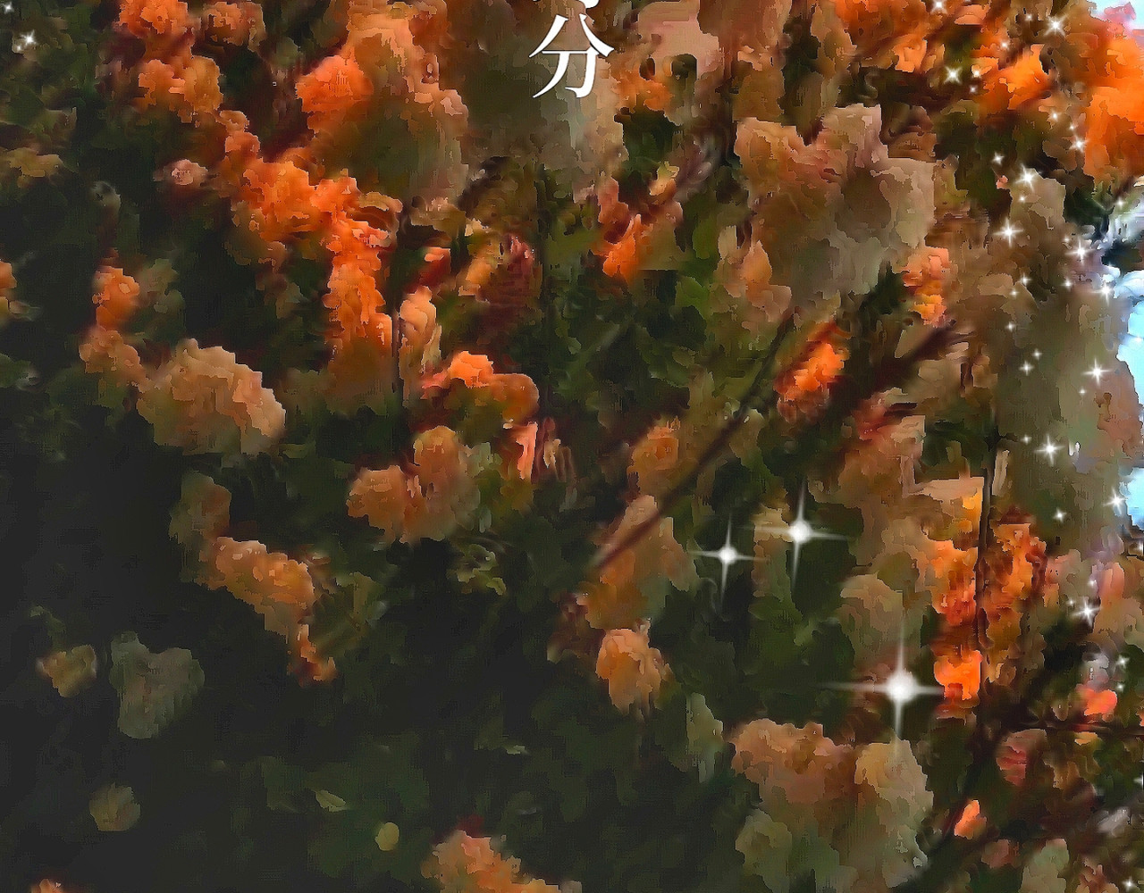 喜欢你的理由 21世纪的玫瑰泛滥成灾 第67页