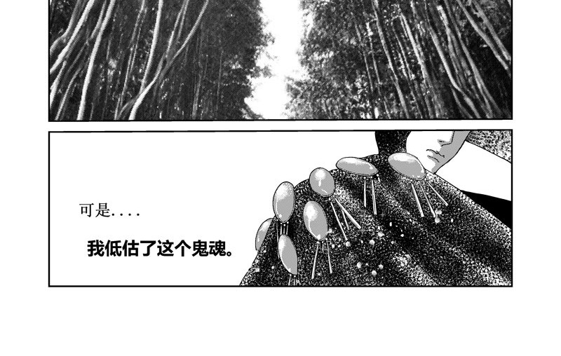 绿鬼 替身 第4页