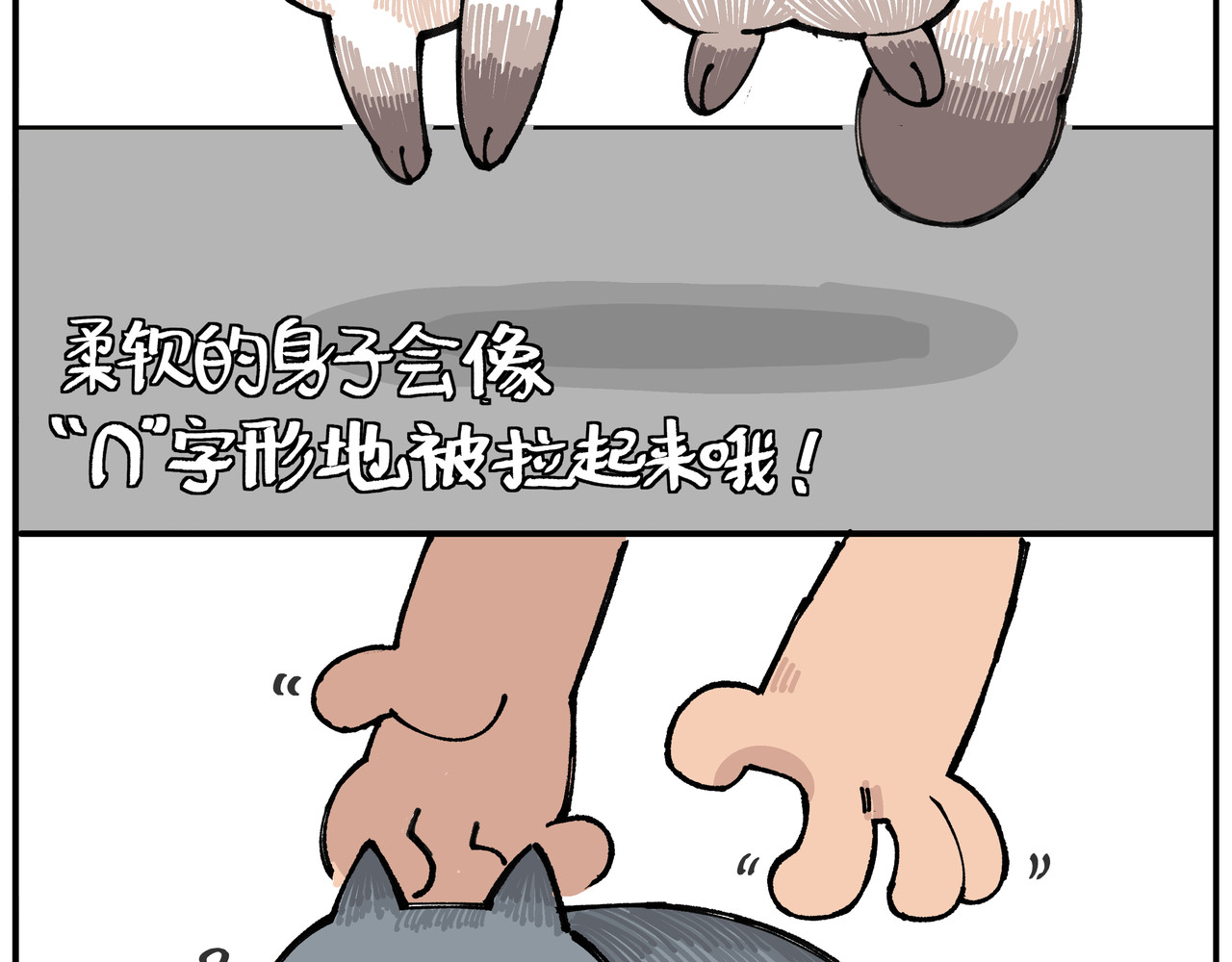 卡卡与两千一 第五话 多样化体态 第21页
