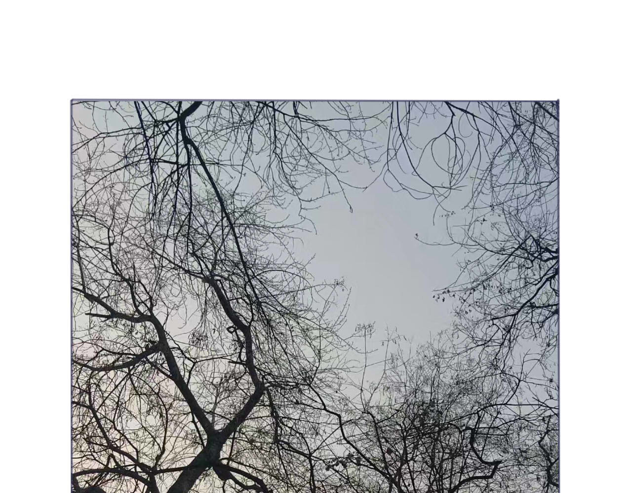 臆想 装b失败 第22页