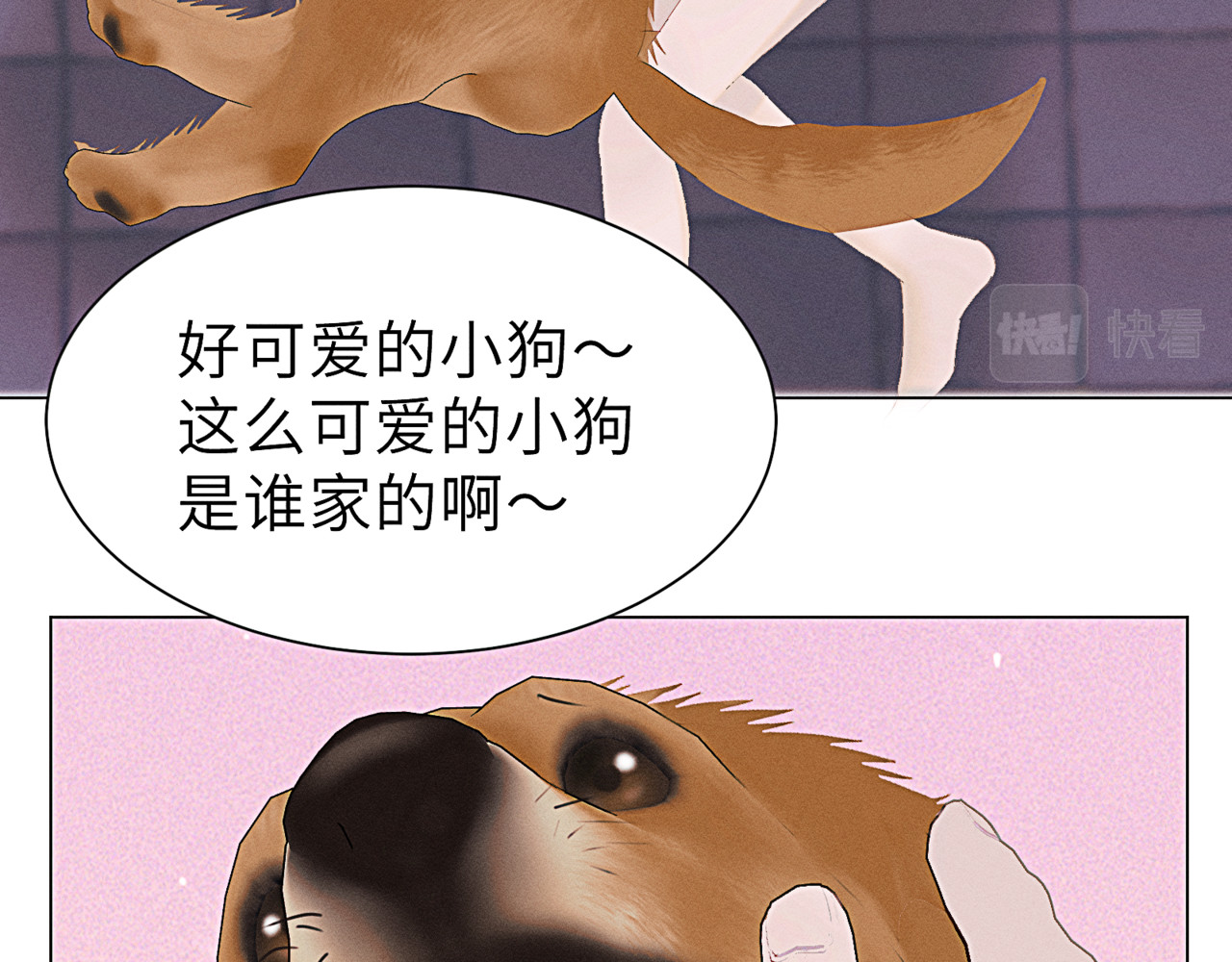 狗直男 和小狗黏黏的过去 第54页
