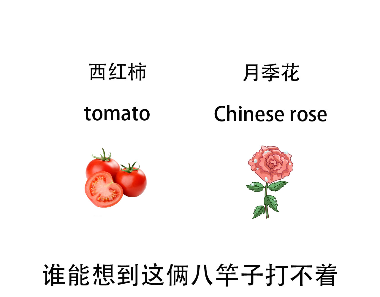 食方—你不知道的种植小技巧 第1页