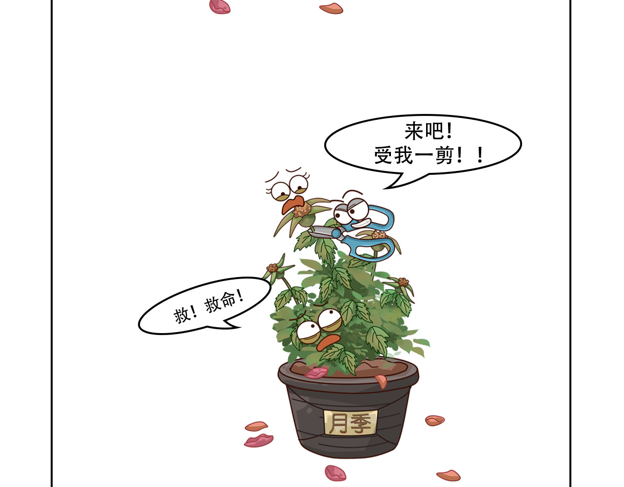 食方—你不知道的种植小技巧 第5页