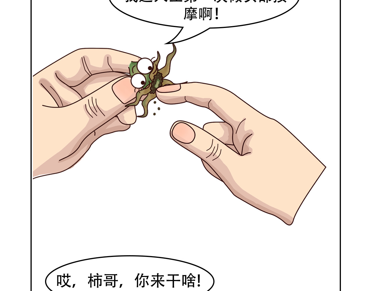 食方—你不知道的种植小技巧 第8页