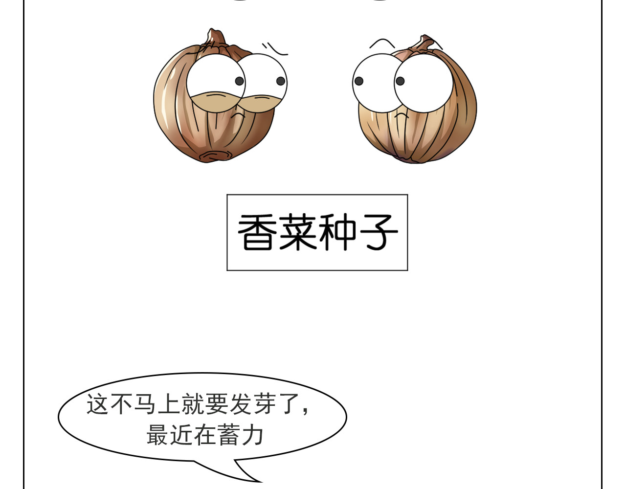 食方—你不知道的种植小技巧 香菜种子捶一捶，长得茂盛谁怕谁 第7页