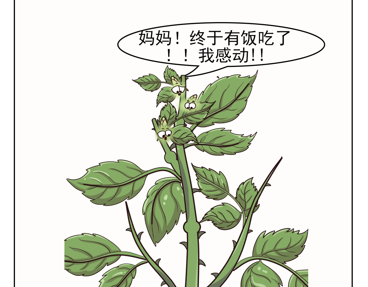 食方—你不知道的种植小技巧 玫瑰剪枝就“咔”，再开人人都夸 第13页