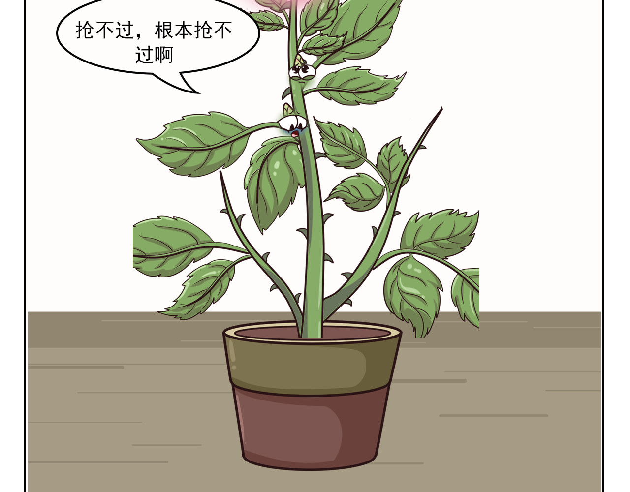 食方—你不知道的种植小技巧 玫瑰剪枝就“咔”，再开人人都夸 第8页