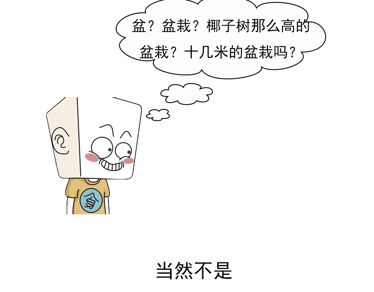 食方—你不知道的种植小技巧 长芽的叶子不要扔，养成盆栽更好看 第4页