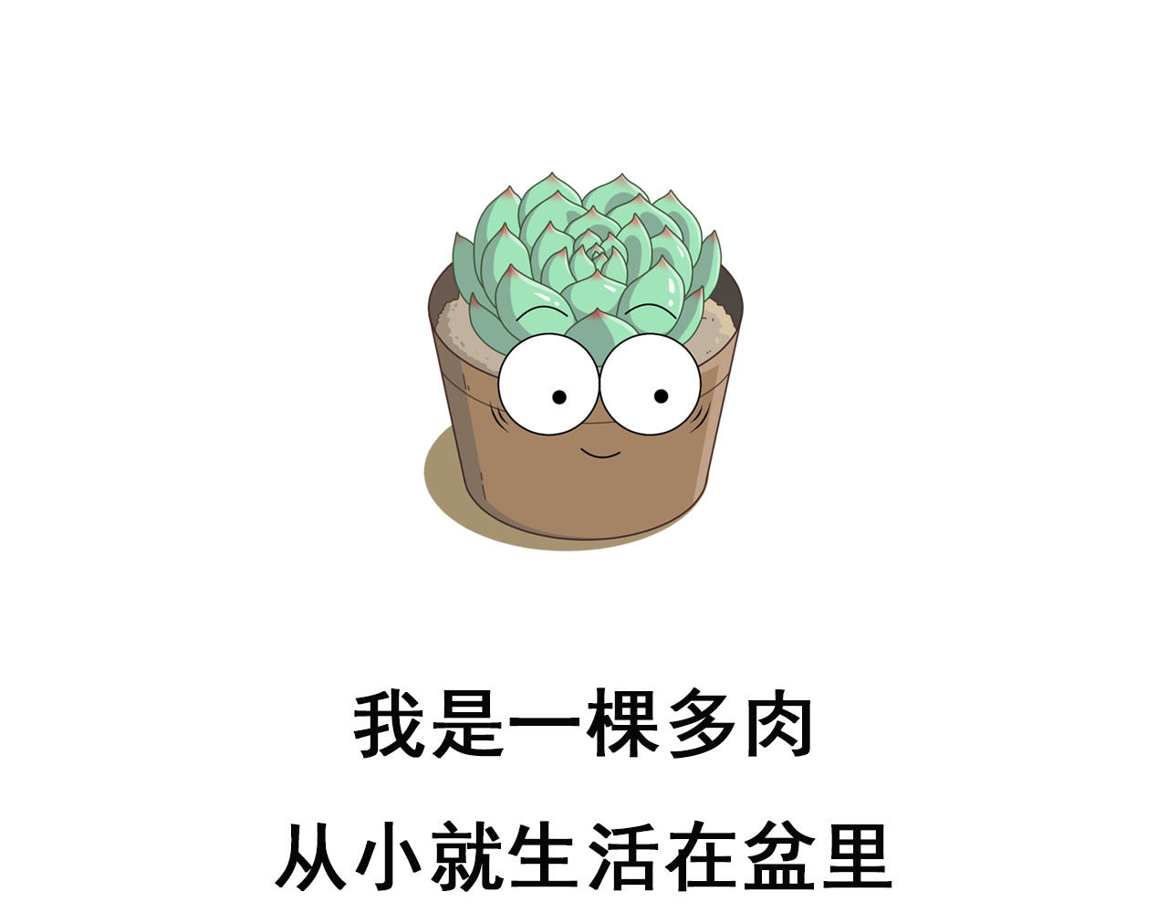 食方—你不知道的种植小技巧 拥有一颗多肉，就等于拥有无数棵多肉 第1页