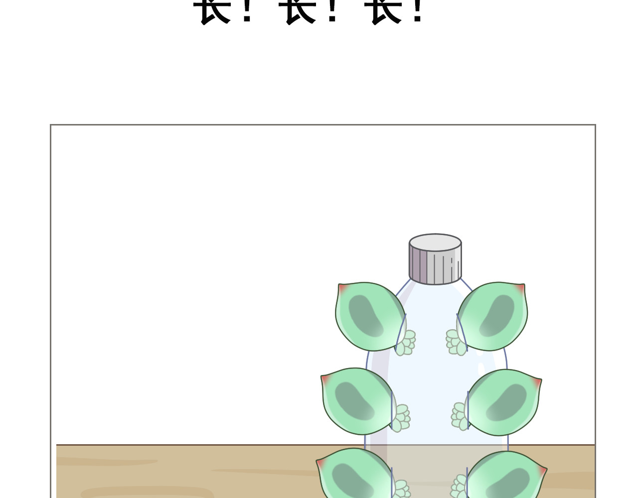 食方—你不知道的种植小技巧 拥有一颗多肉，就等于拥有无数棵多肉 第13页