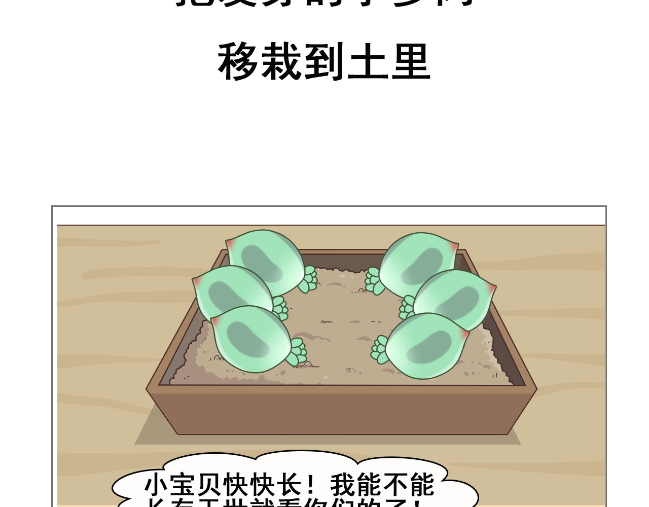 食方—你不知道的种植小技巧 拥有一颗多肉，就等于拥有无数棵多肉 第15页