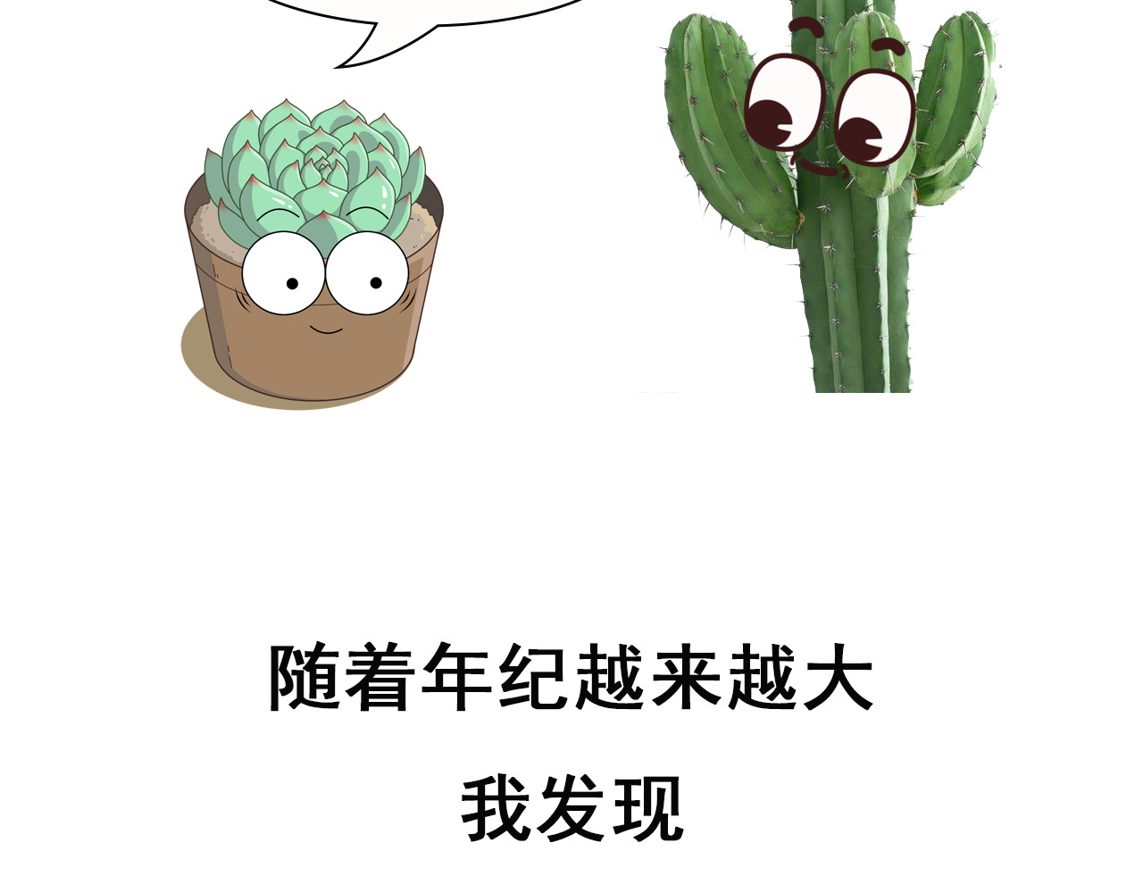食方—你不知道的种植小技巧 拥有一颗多肉，就等于拥有无数棵多肉 第3页
