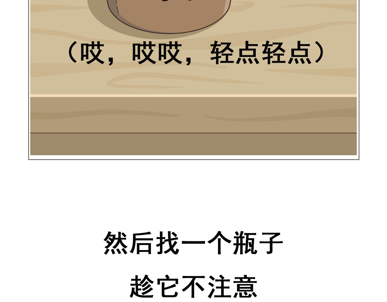 食方—你不知道的种植小技巧 拥有一颗多肉，就等于拥有无数棵多肉 第7页