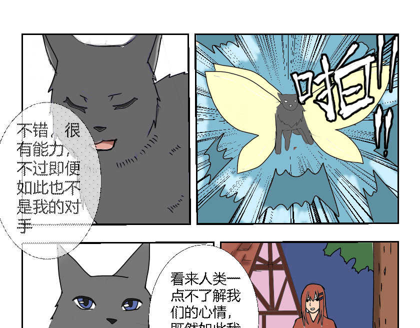 灵兽守护计划 夜袭 第3页