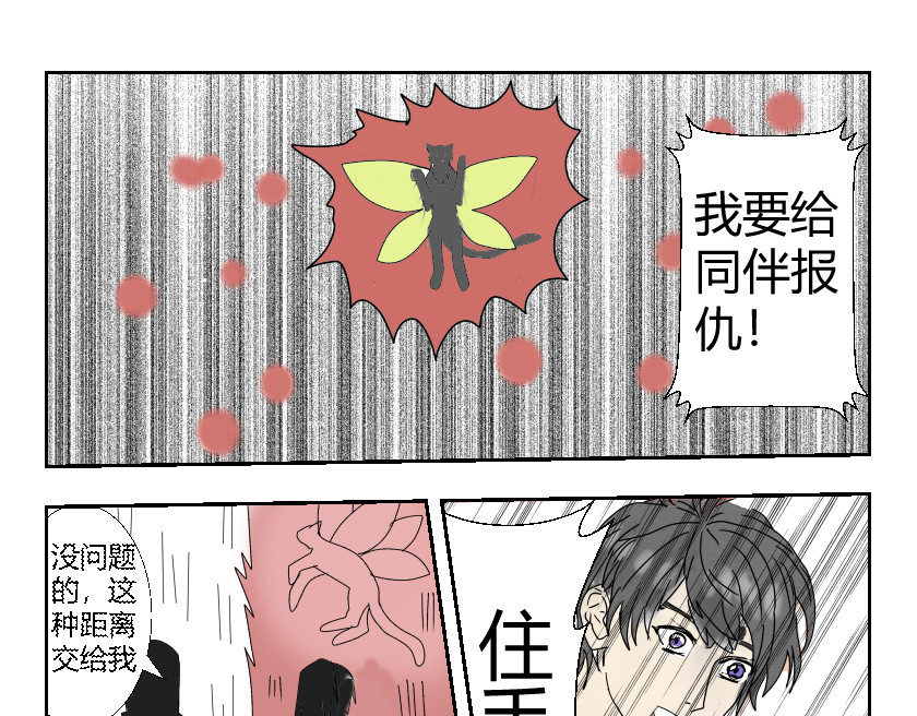 灵兽守护计划 夜袭 第9页