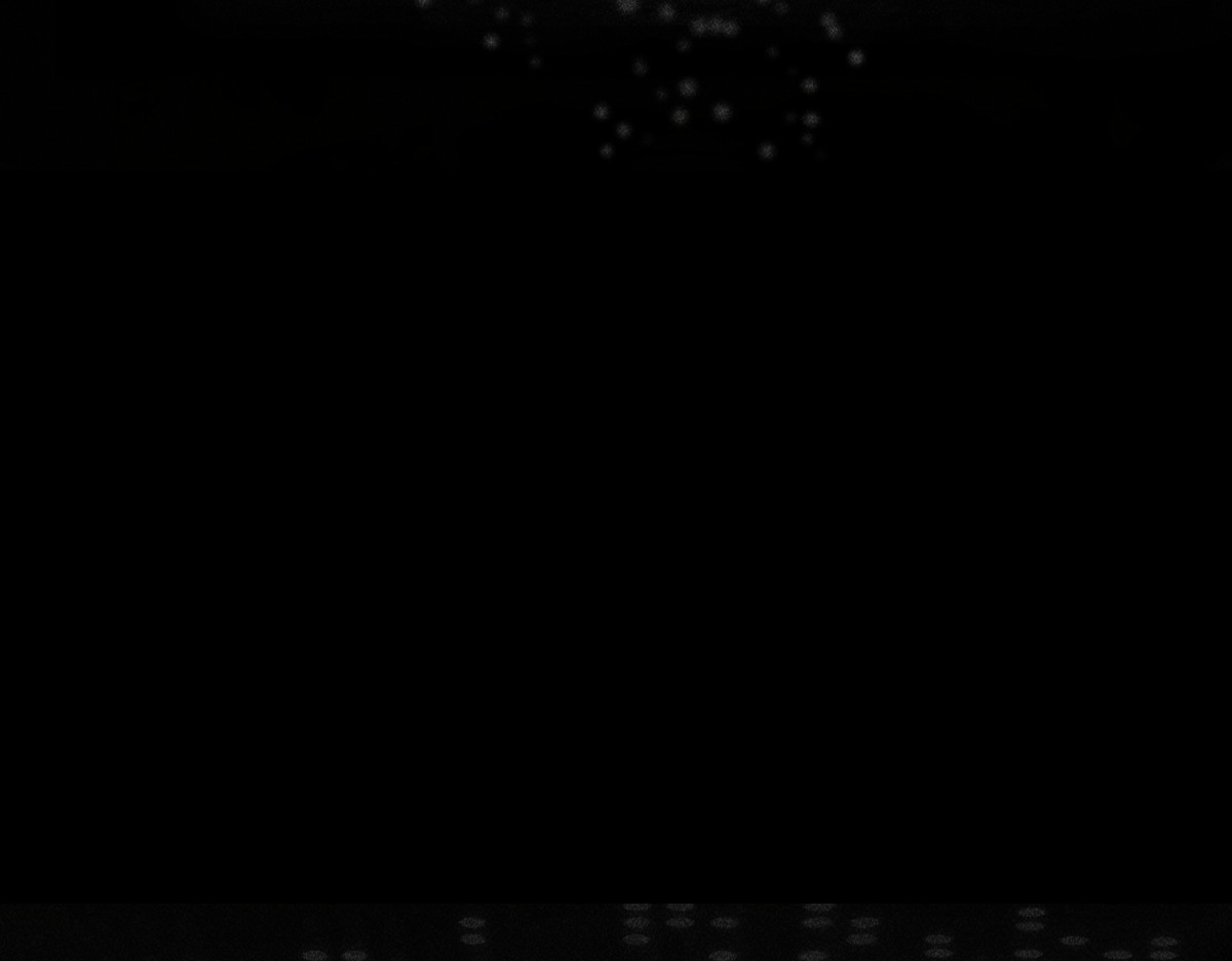 AI之梦 第一话 AiAi诞生 第21页