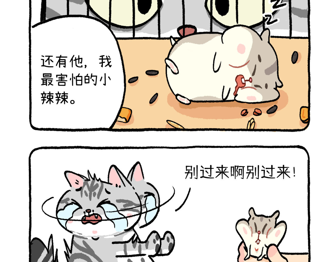 葱花香菜不加辣 第8页