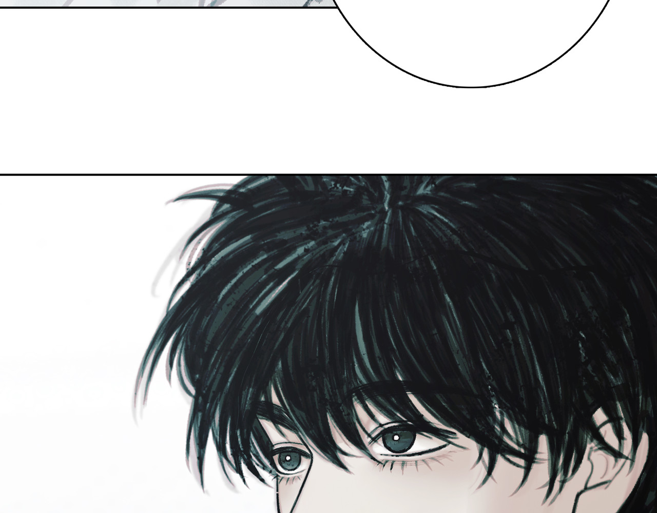 BreakingDawn破晓 03 酒窝小男孩能有什么坏心思 第157页
