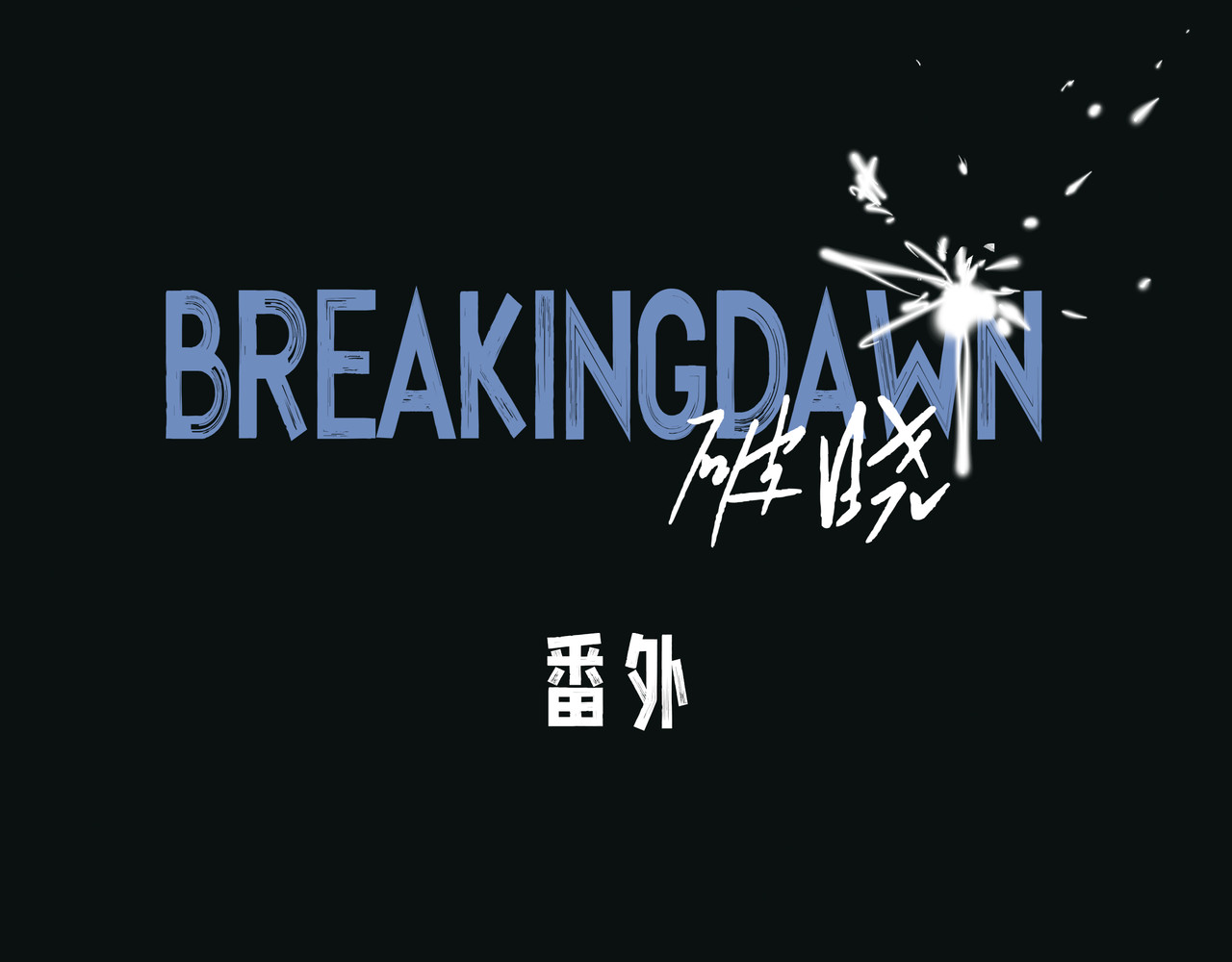 BreakingDawn破晓 番外 叶星，你愿意去孤屿吗？ 第4页
