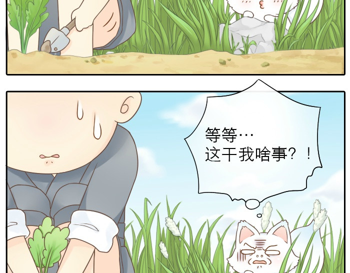 给我来个小和尚:欢迎来到妖怪镇 第2话 谁说狐狸不吃胡萝卜 第5页