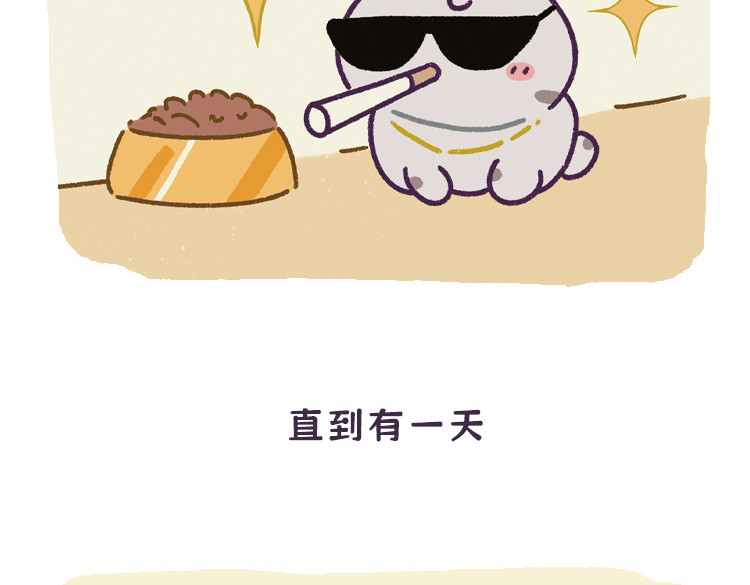 拽猫的北京生活 第5页