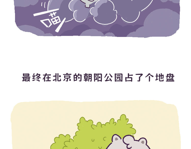 拽猫的北京生活 拽猫流浪记 第10页