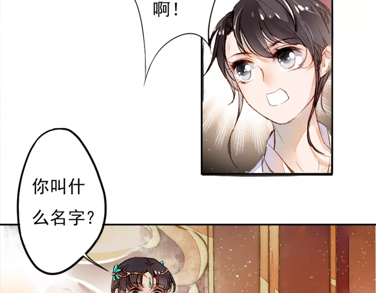 九州天空城之凤凰阵 第2话 议和庆典 第49页