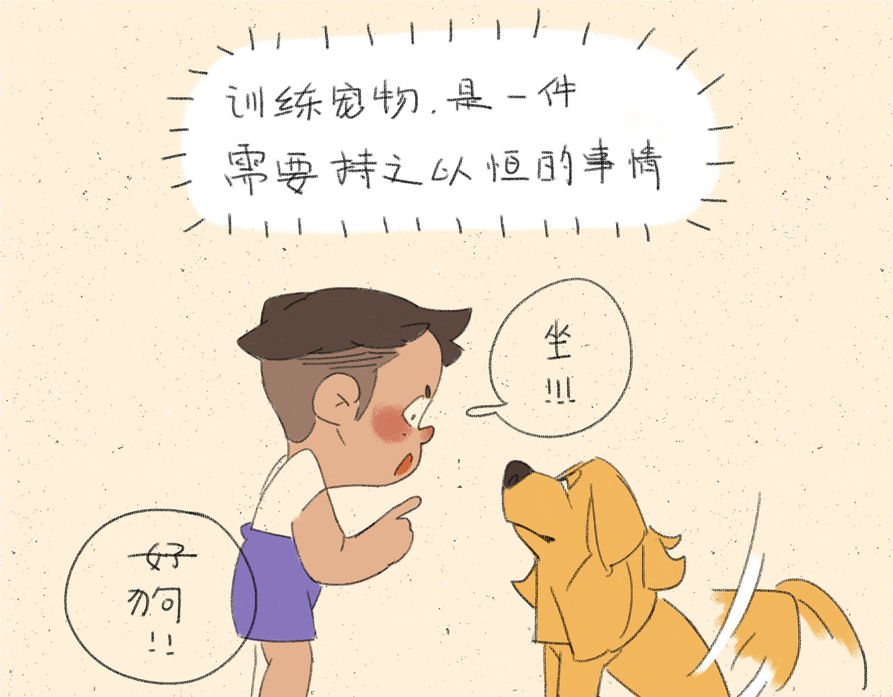 宠物观察日记 005 啊多比的新装备 第13页