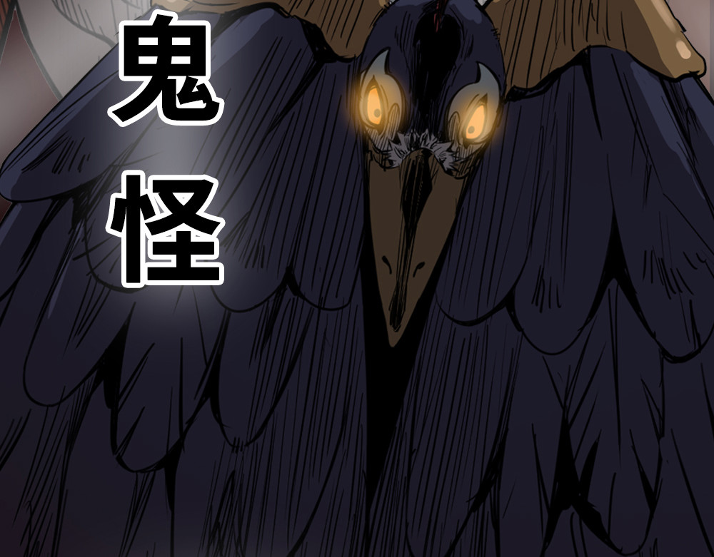 奇星箓 预告 第14页