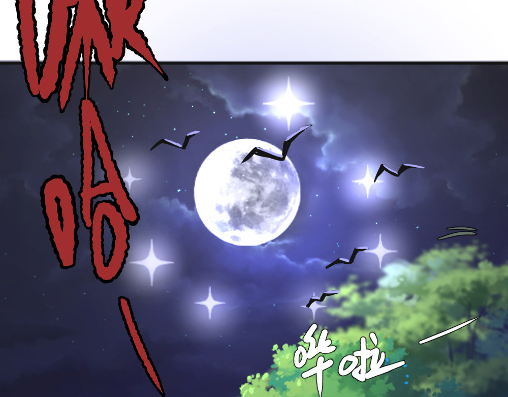 奇星箓 1 初入异世，危机四伏 第13页
