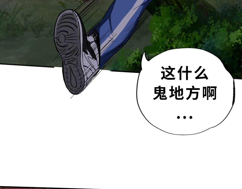 奇星箓 1 初入异世，危机四伏 第17页