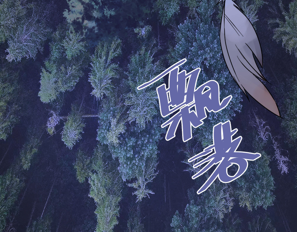 奇星箓 1 初入异世，危机四伏 第33页