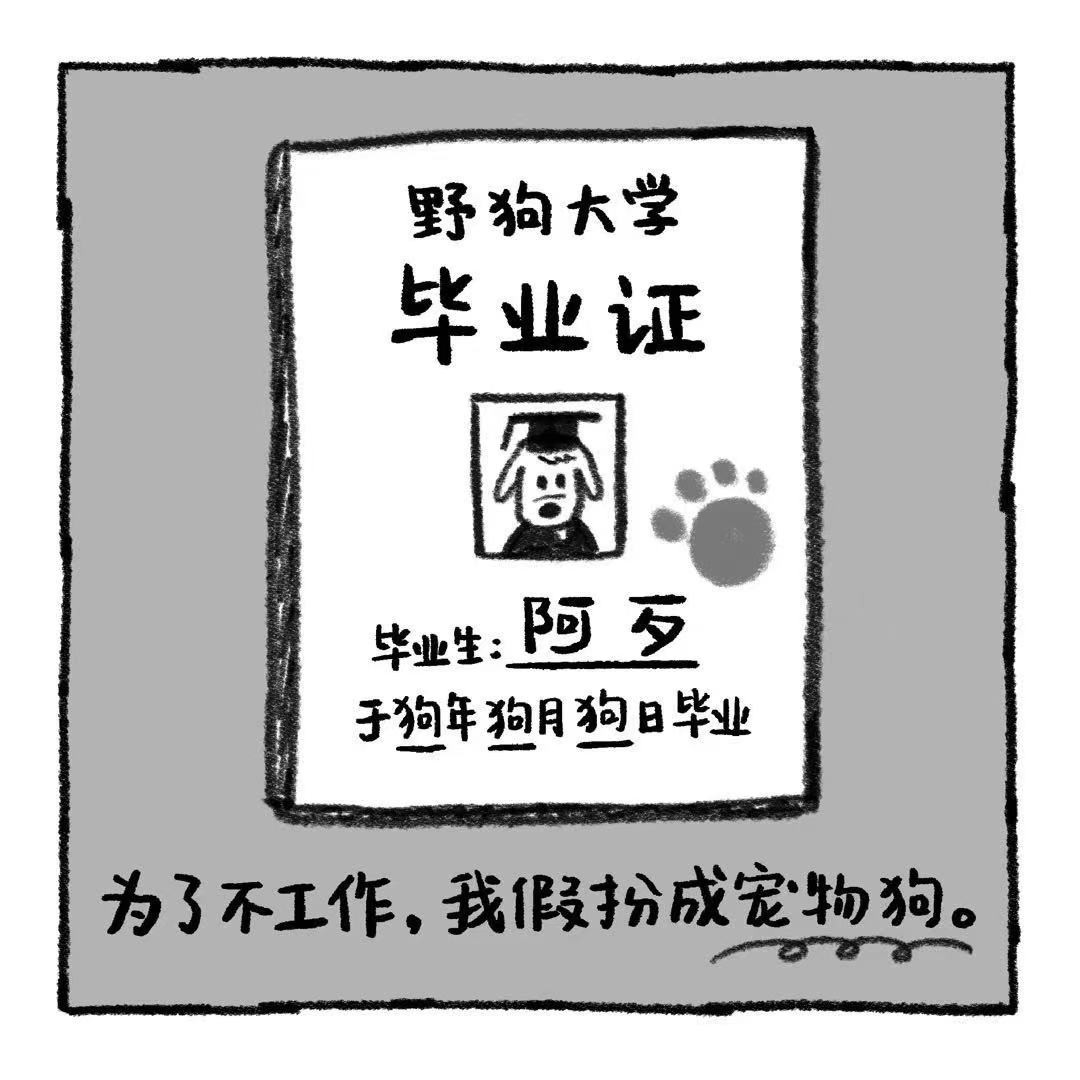 你的狗怪怪的 第4页