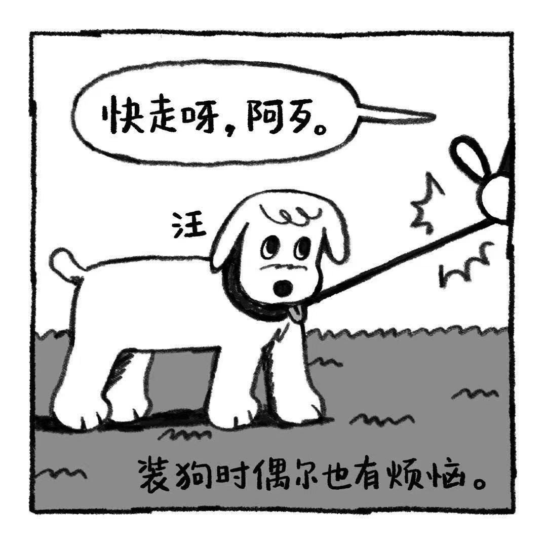 你的狗怪怪的 第6页
