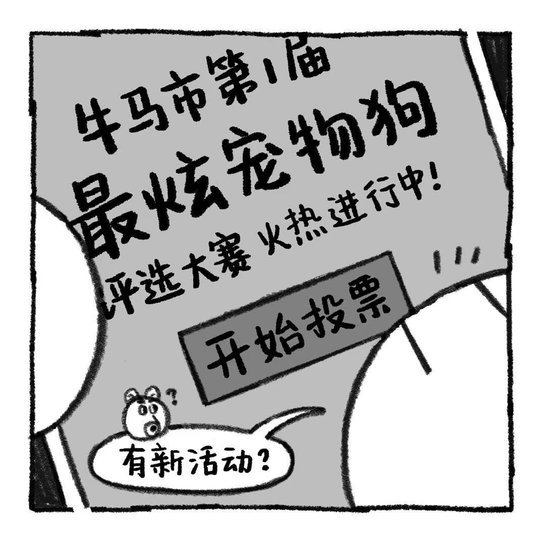 你的狗怪怪的 冤枉啊清汤大老爷 第12页