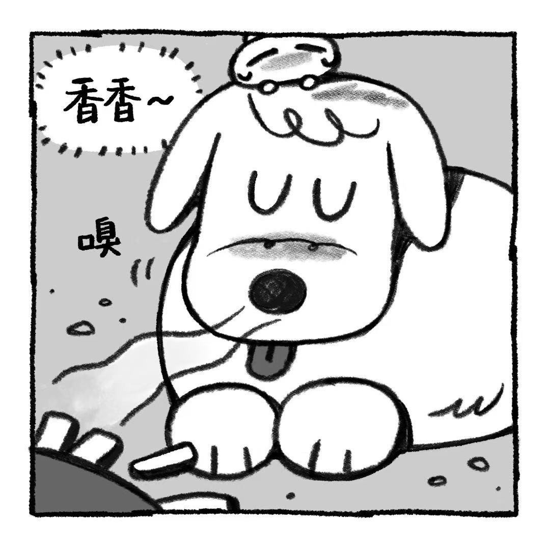 你的狗怪怪的 狗生不易，全靠演技 第2页