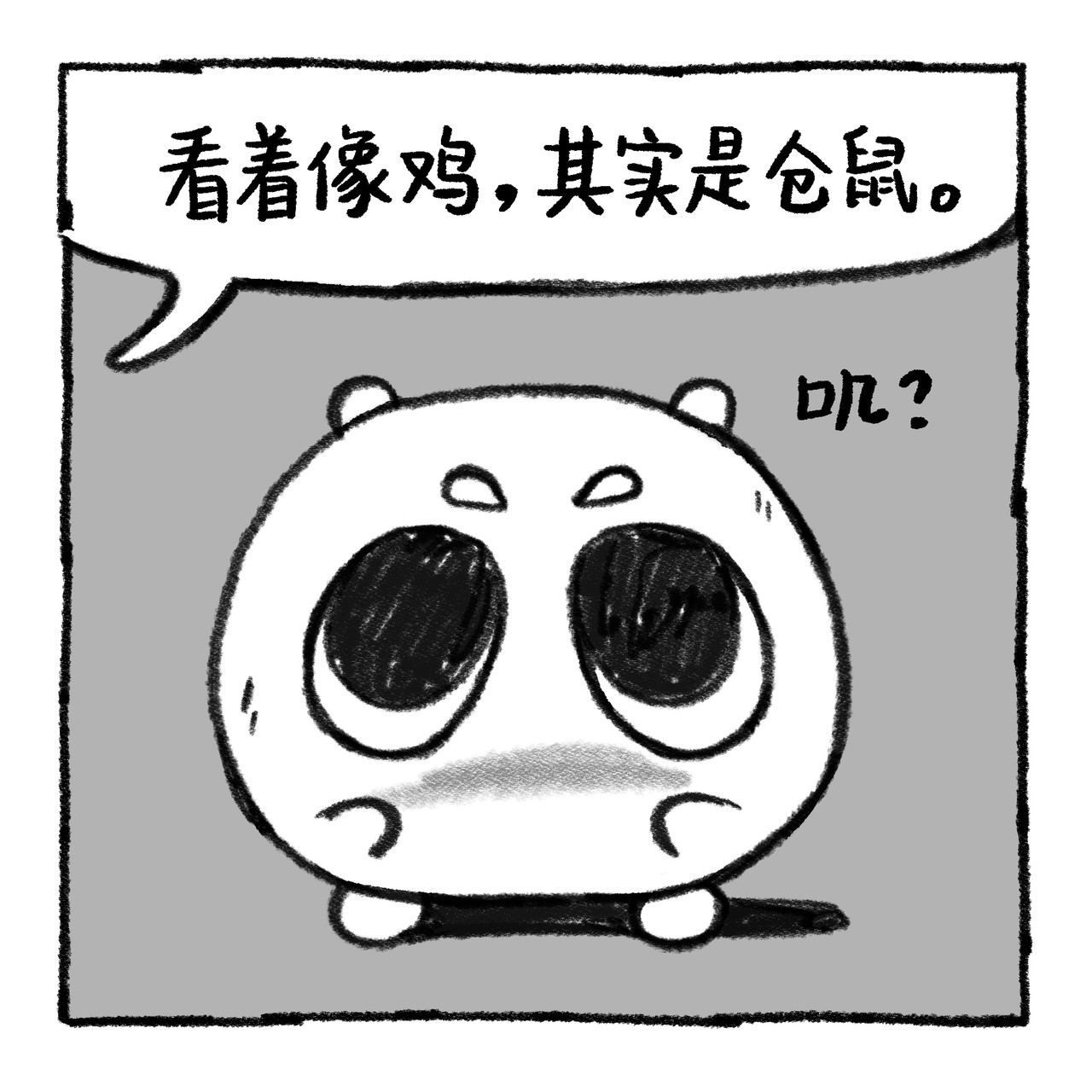 你的狗怪怪的 狗生不易，全靠演技 第12页