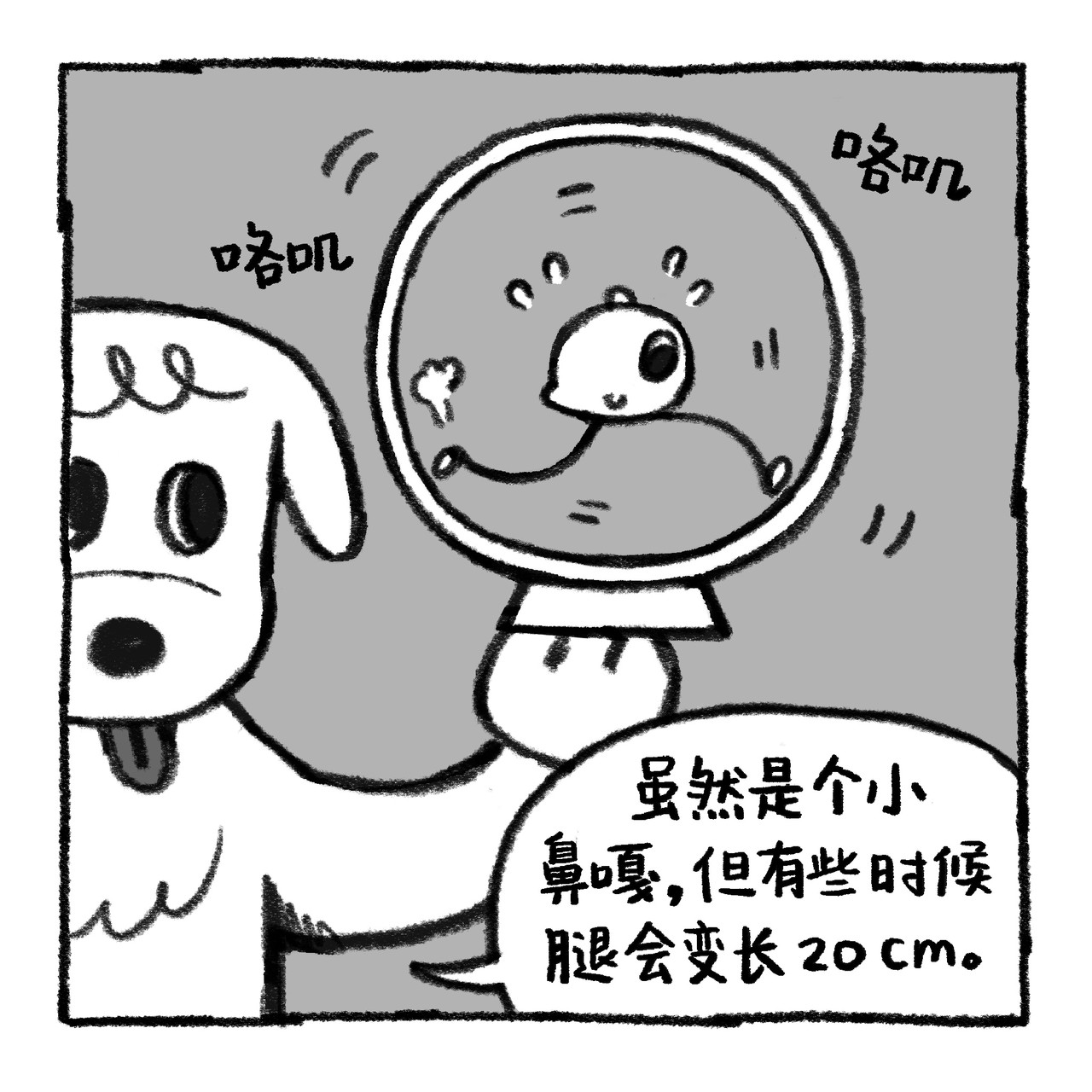 你的狗怪怪的 狗生不易，全靠演技 第14页