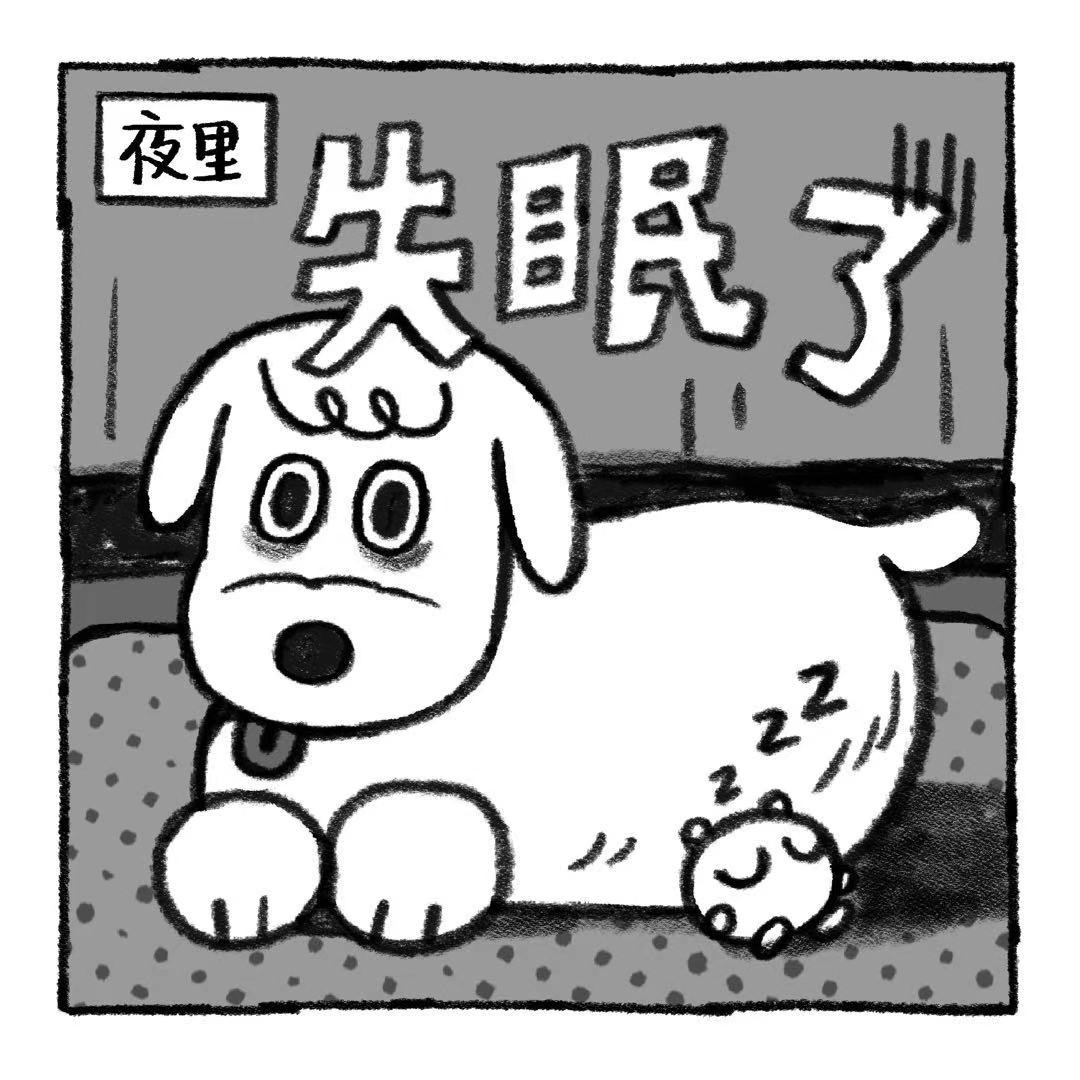 你的狗怪怪的 狗生不易，全靠演技 第23页