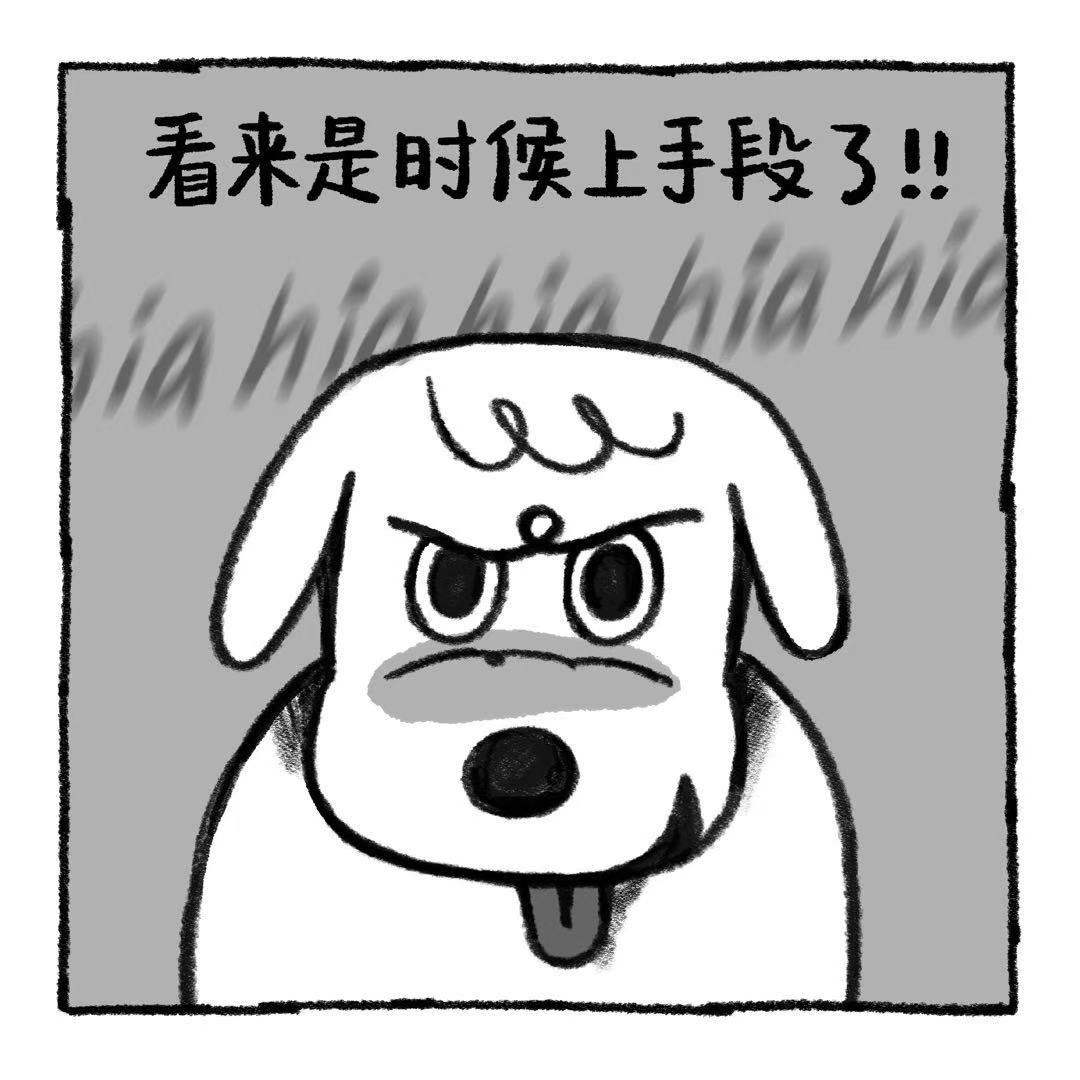 你的狗怪怪的 狗生不易，全靠演技 第25页