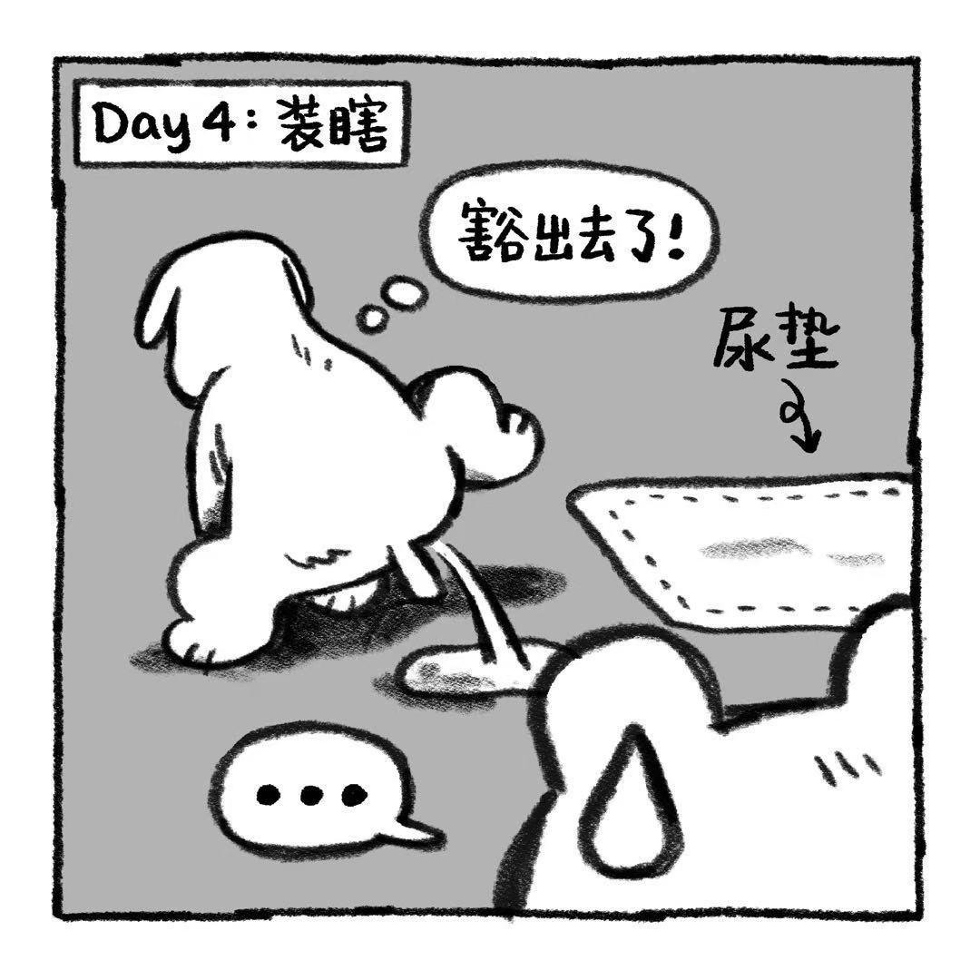 你的狗怪怪的 狗生不易，全靠演技 第29页