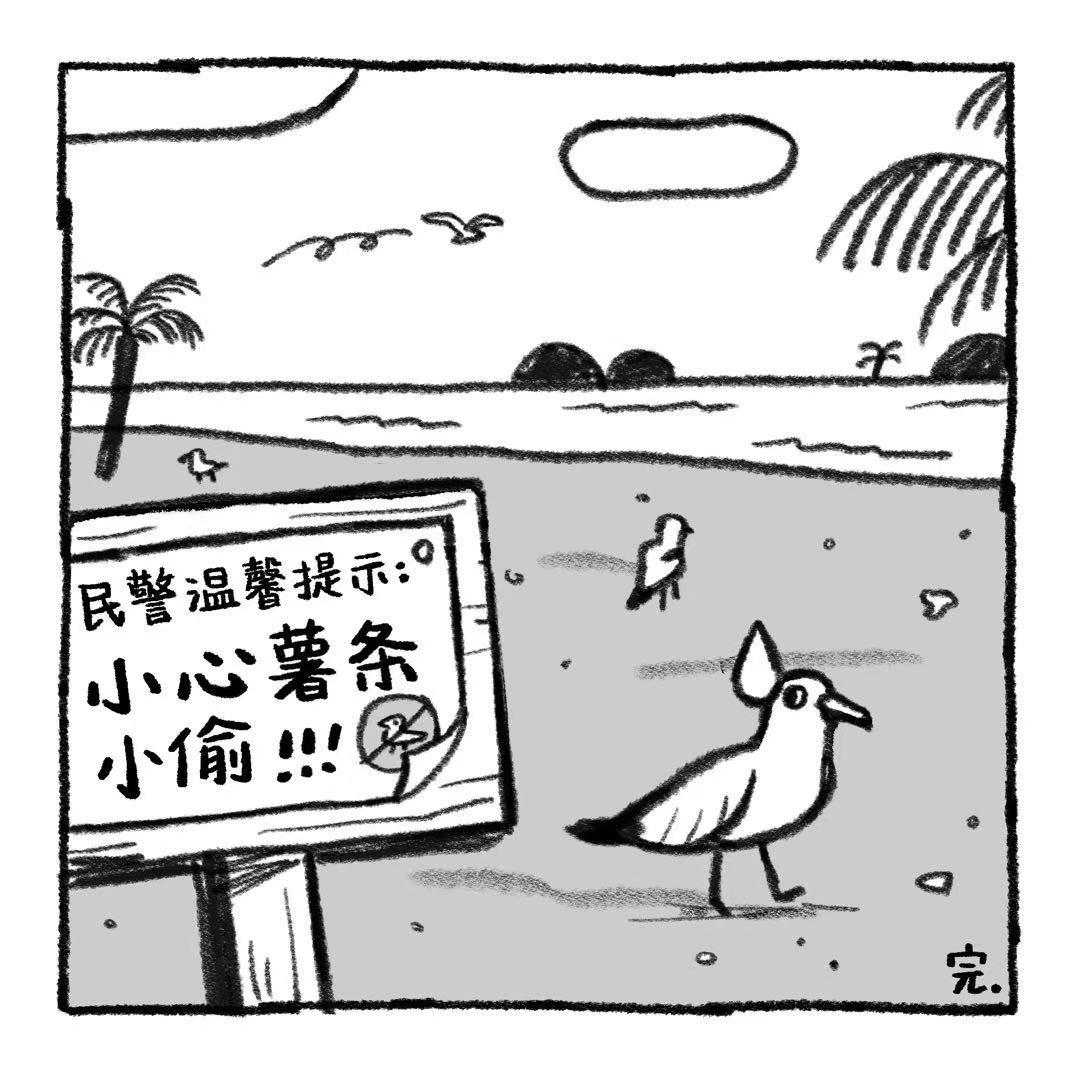 你的狗怪怪的 狗生不易，全靠演技 第10页